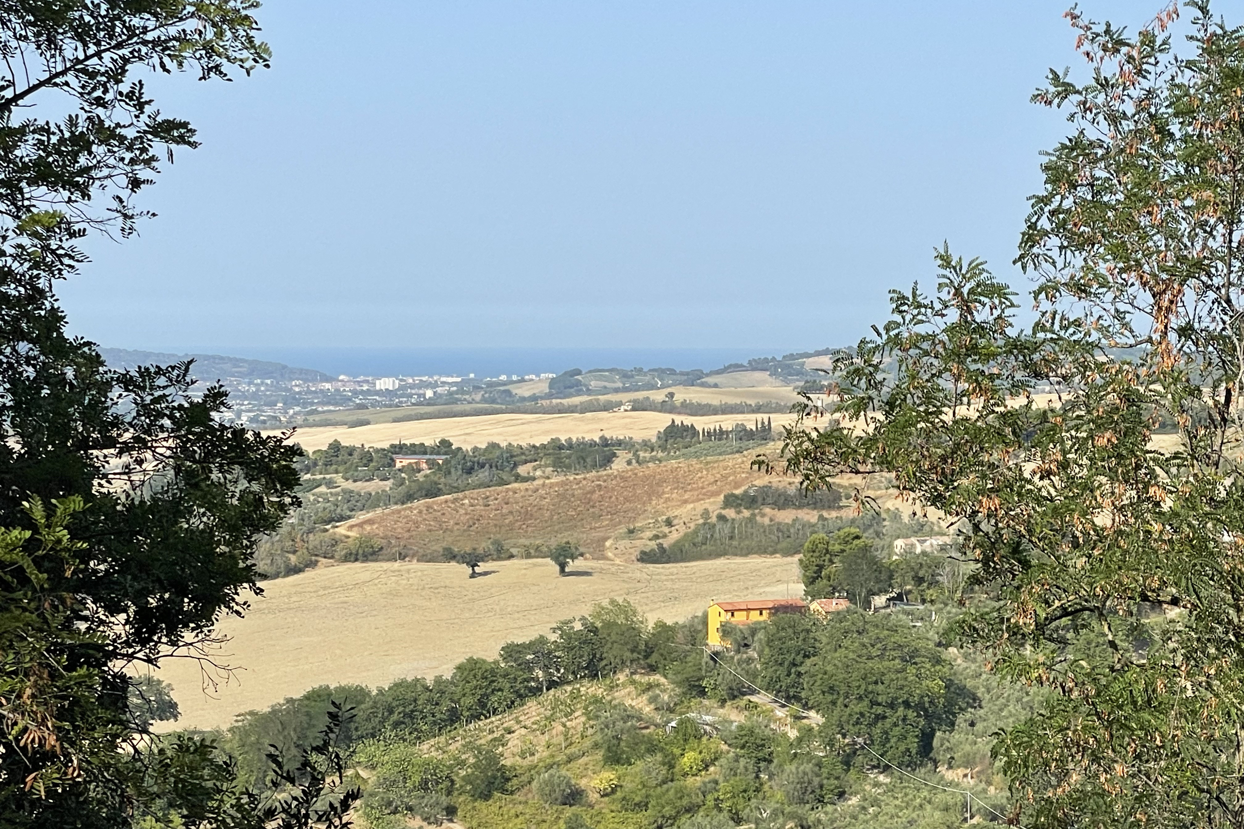 Vendita terreno edificabile Pesaro - Zona Ginestreto (TE200)